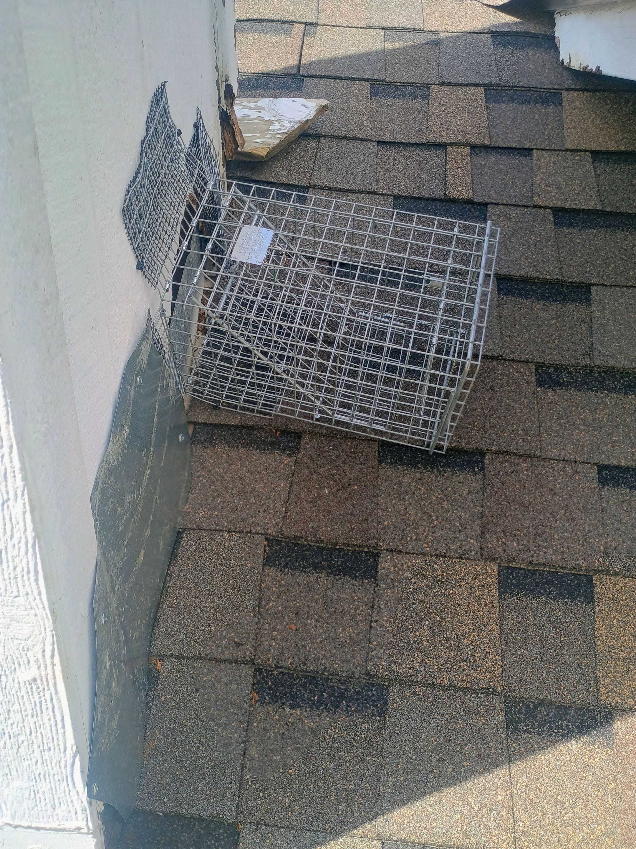 Before photo