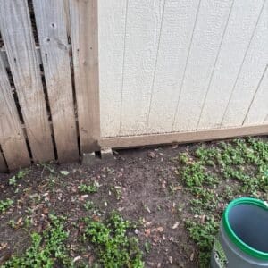 Before photo - Austin | Dove Springs Skunk Wildlife Removal in Austin