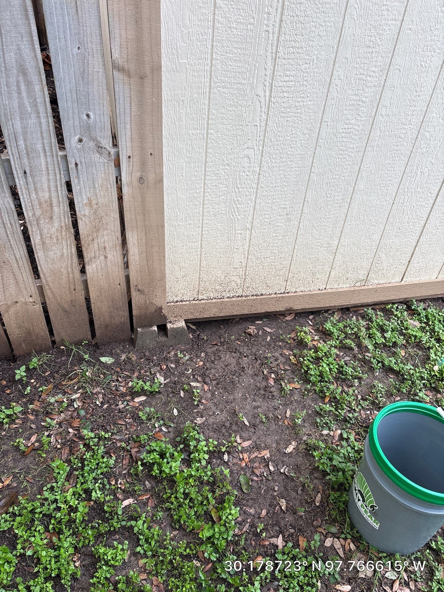 Before photo