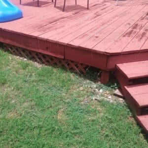 Before photo - Austin | Milwood Skunk Wildlife Removal in Austin
