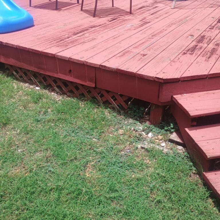 Before photo - Austin | Milwood Skunk Wildlife Removal in Austin
