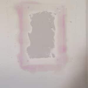 Before photo - Austin | Garrison Park Raccoon Damage Repair in Austin