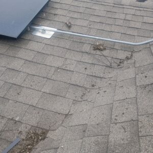 Before photo - Austin | Mueller Pigeon Predicament - Wildlife Removal in Austin