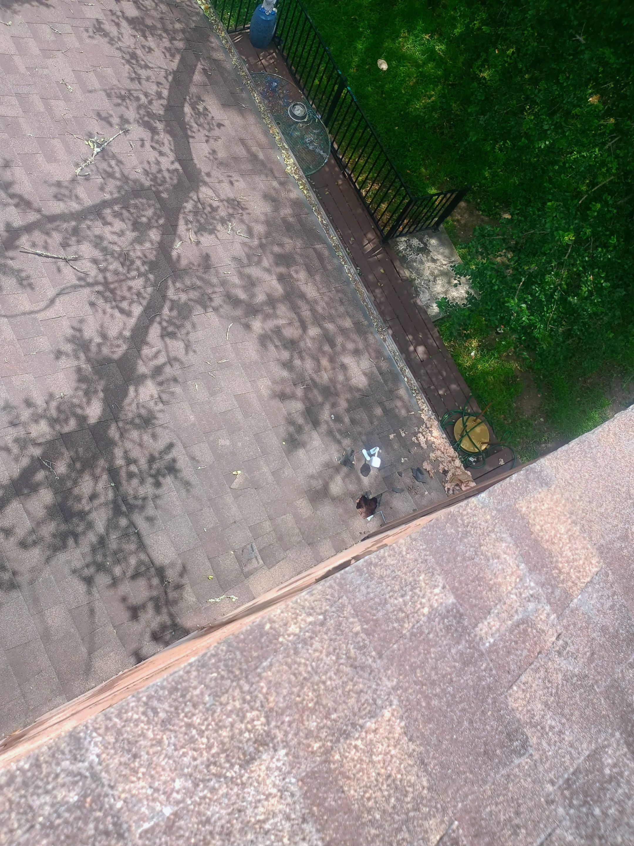 Before photo