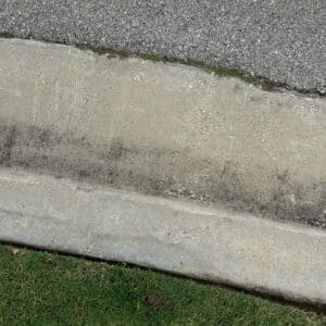 Before photo - Manor | Presidential Meadows Fire Ant Pest Control in Manor